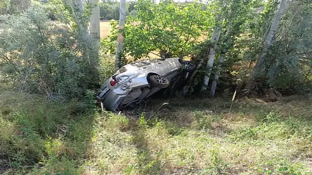 Konya'da yola çıkan köpek kazaya sebep oldu: 1 yaralı