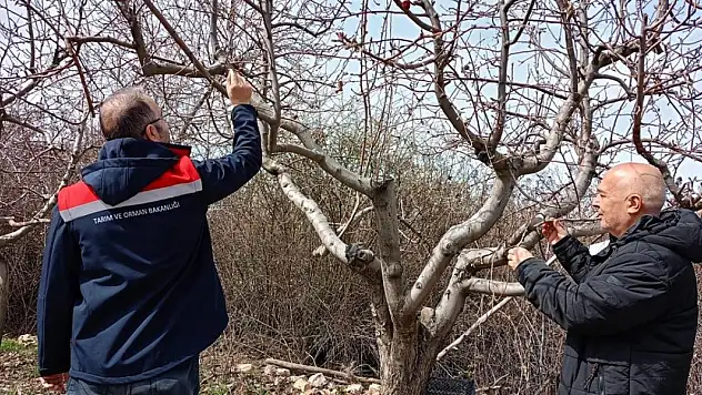 Konya'da ziraat mühendislerinin çiftçi ziyaretleri sürüyor