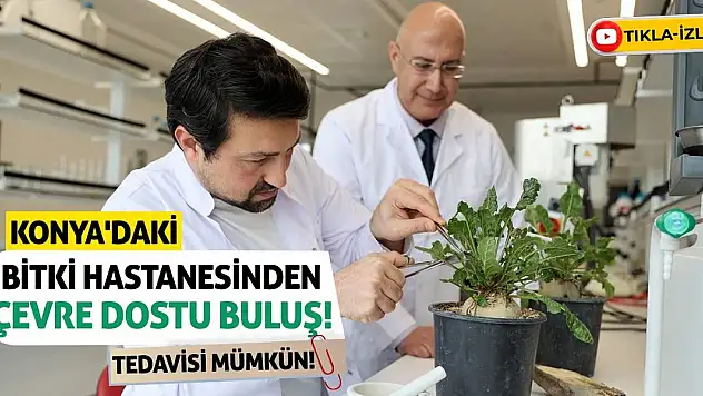 Konya'daki Bitki Hastanesinden Çevre Dostu Buluş! Tedavisi Mümkün!