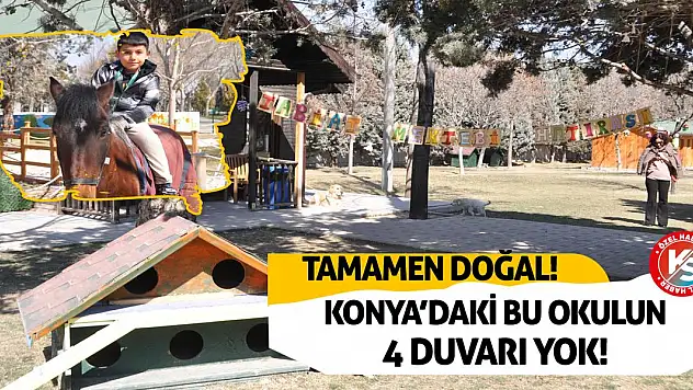 Konya'daki Bu Okulun 4 Duvarı Yok! Tamamen Doğal