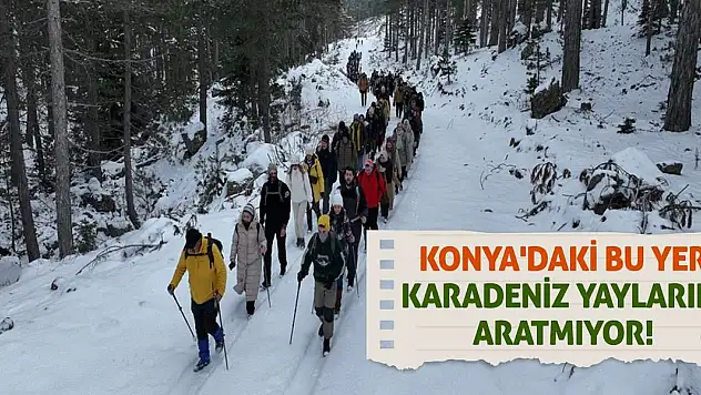 Konya'daki bu yer Karadeniz yaylarını aratmıyor!