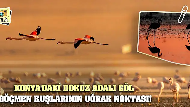 Konya'daki dokuz adalı göl göçmen kuşlarının uğrak noktası!