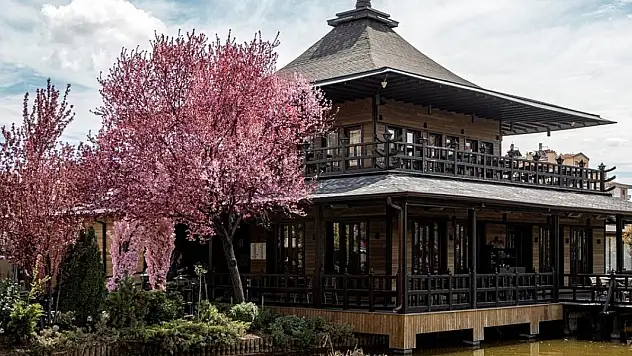 Konya'daki Japon Kyoto Parkı'nda İlkbahar esintisi