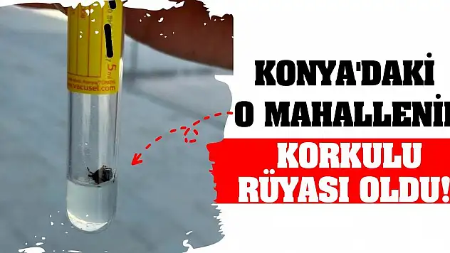 Konya'daki O Mahallenin Korkulu Rüyası Oldu!