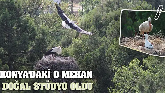 Konya'daki O Mekan Doğal Stüdyo Oldu