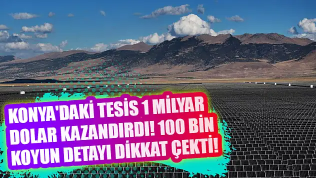 Konya'daki tesis 1 milyar dolar kazandırdı! 100 bin koyun detayı dikkat çekti!