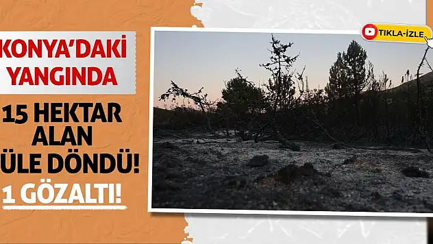Konya'daki Yangında 15 Hektar Alan Küle Döndü! 1 Gözaltı!
