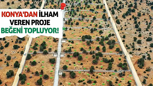 Konya'dan İlham Veren Proje: Sahipsiz Hayvan Doğal Yaşam Alanı Beğeni Topluyor!