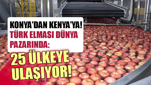 Konya'dan Kenya'ya! Türk Elması Dünya Pazarında: 25 Ülkeye Ulaşıyor!