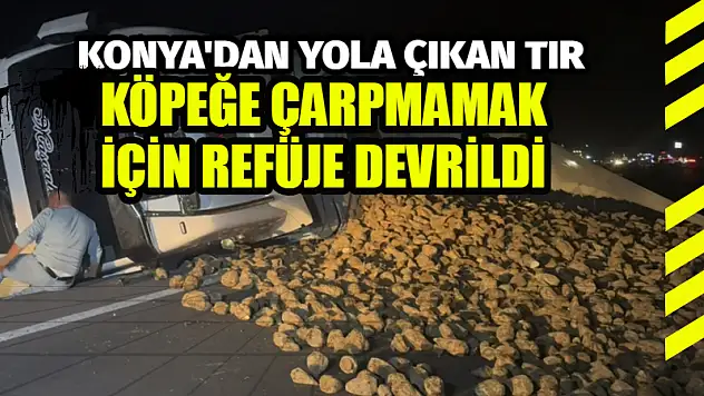 Konya'dan yola çıkan tır, köpeğe çarpmamak için refüje devrildi