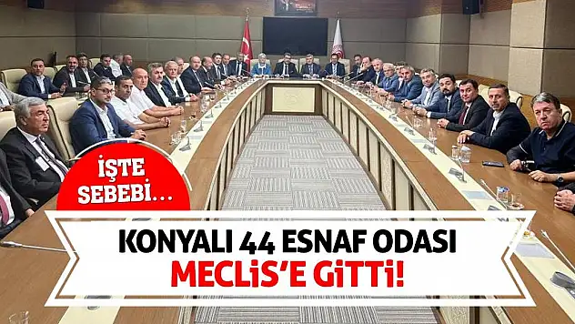 Konyalı 44 Esnaf Odası Meclis'e Gitti! İşte Sebebi…