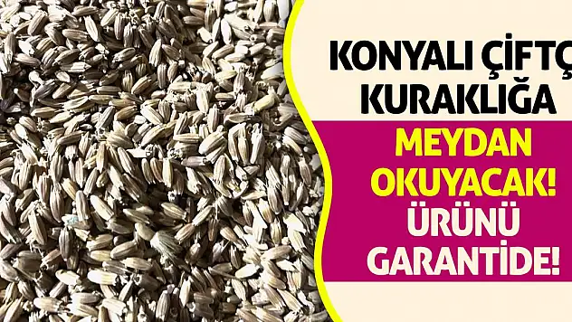 Konyalı Çiftçi Kuraklığa Meydan Okuyacak! Ürünü Garantide!