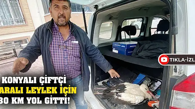 Konyalı çiftçi yaralı leylek için 30 km yol gitti!