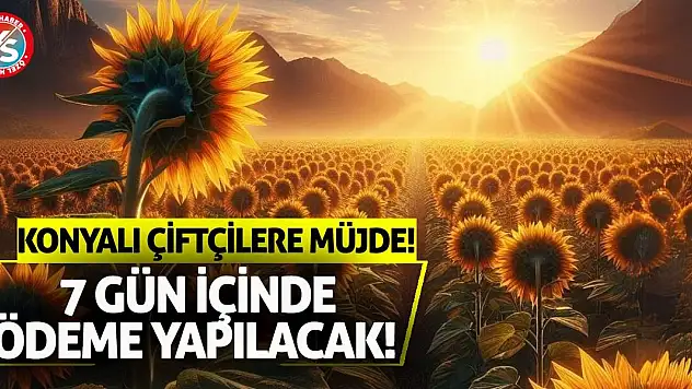 Konyalı çiftçilere müjde! 7 gün içinde ödeme yapılacak!