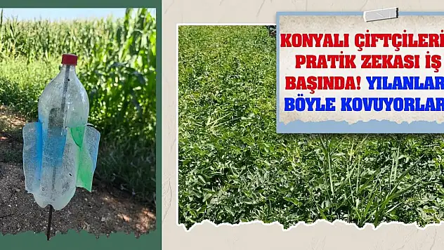 Konyalı çiftçilerin pratik zekası iş başında!