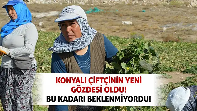 Konyalı çiftçinin yeni gözdesi oldu! Bu kadarı beklenmiyordu!