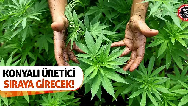 Konyalı Üretici Sıraya Girecek!