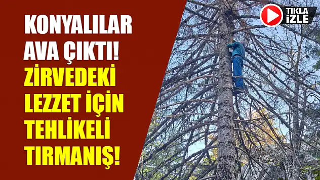 Konyalılar Ava Çıktı! Zirvedeki Lezzet İçin Tehlikeli Tırmanış!