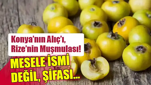 Konya'nın Alıç'ı, Rize'nin Muşmulası! Mesele İsmi Değil, Şifası…
