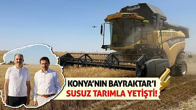 Konya'nın 'Bayraktar'ı Susuz Tarımla Yetişti!