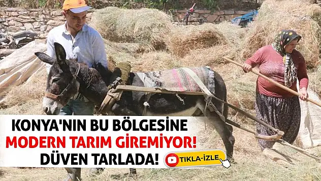 Konya'nın bu bölgesine modern tarım giremiyor! Düven tarlada!