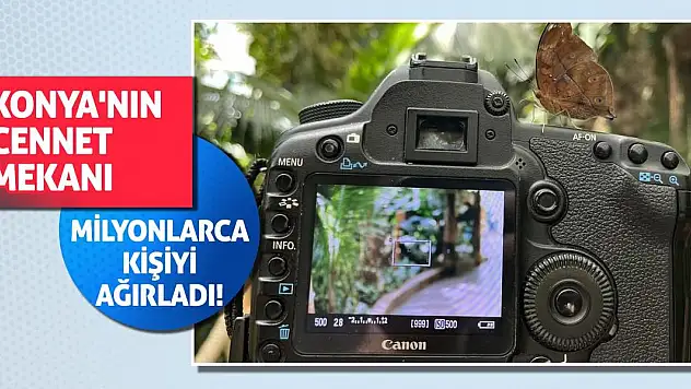 Konya'nın cennet mekanı milyonlarca kişiyi ağırladı!
