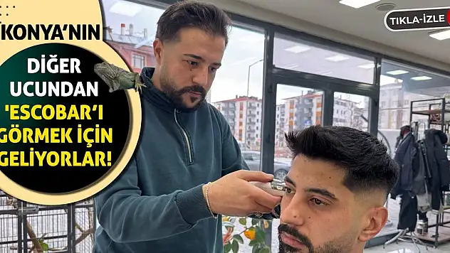 Konya'nın diğer ucundan 'Escobar'ı görmek için geliyorlar!