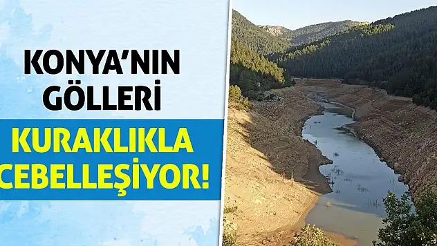 Konya'nın Gölleri Kuraklıkla Cebelleşiyor!