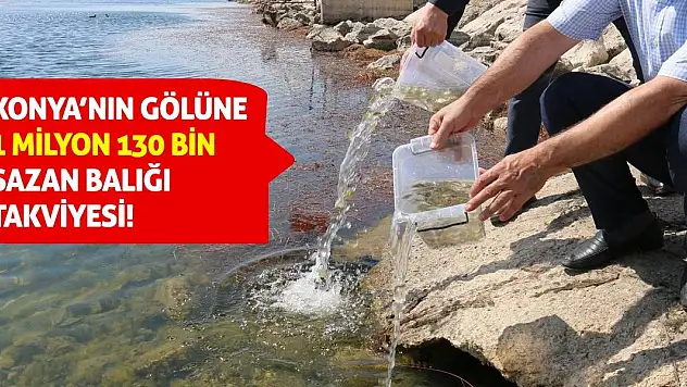 Konya'nın Gölüne 1 Milyon 130 Bin Sazan Balığı Takviyesi!