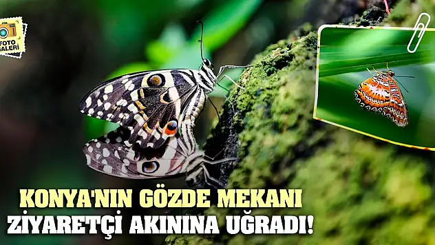 Konya'nın gözde mekanı ziyaretçi akınına uğradı!