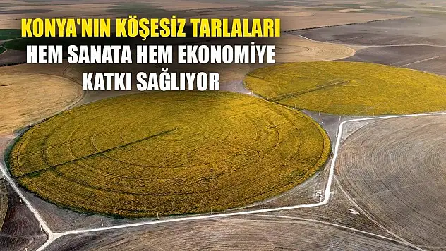 Konya'nın köşesiz tarlaları hem sanata hem ekonomiye katkı sağlıyor