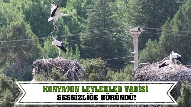 Konya'nın Leylekler Vadisi Sessizliğe Büründü!