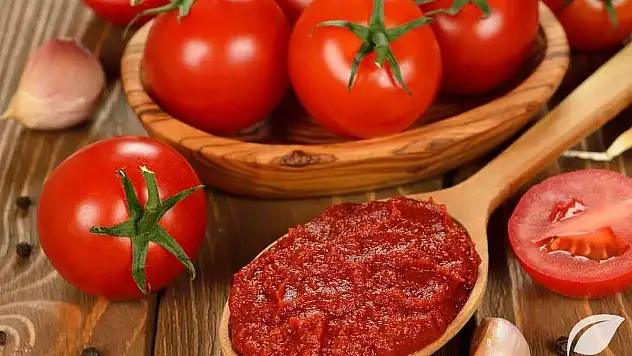 Konya'nın O Belediyesinde Domates Ve Biber Çektirmek Ücretsiz!