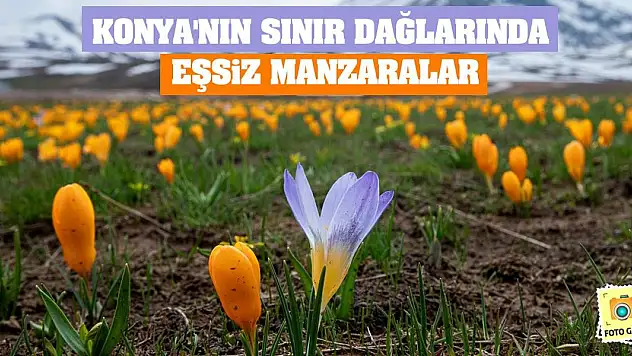 Konya'nın sınır dağlarında eşsiz manzaralar