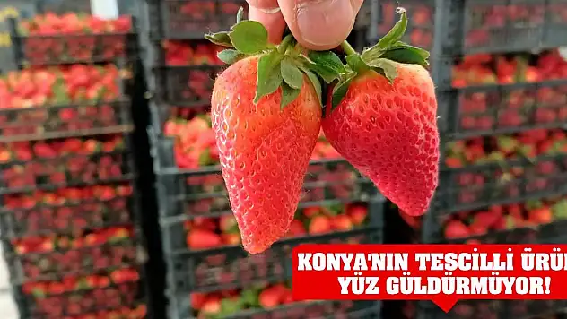 Konya'nın tescilli ürünü yüz güldürmüyor!