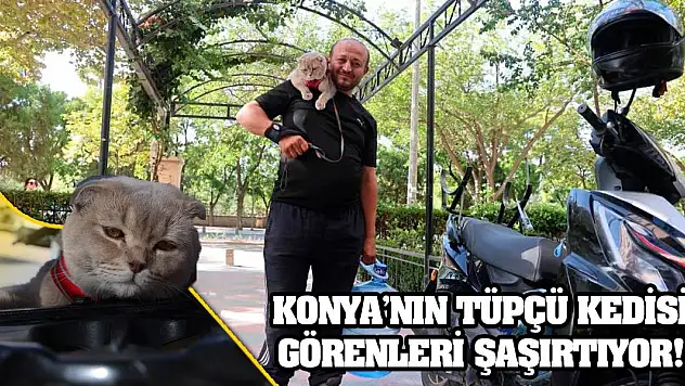 Konya'nın Tüpçü Kedisi Görenleri Şaşırtıyor!