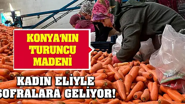 Konya'nın turuncu madeni kadın eliyle sofralara geliyor!