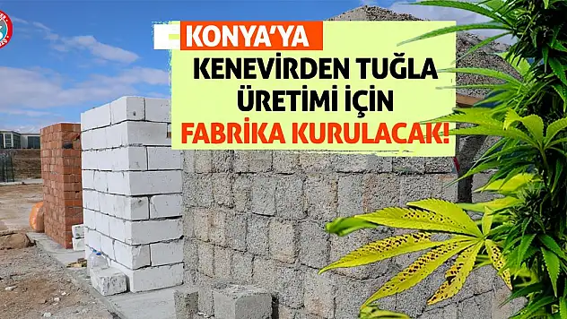 Konya'ya Kenevirden Tuğla Üretimi İçin Fabrika Kurulacak!