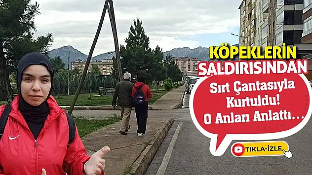 Köpeklerin Saldırısından Sırt Çantasıyla Kurtuldu! O Anları Anlattı…