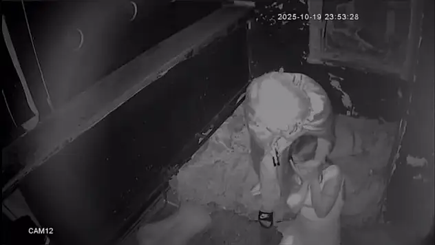 Korku evinde darp şoku! Elektroşok cihazıyla saldırdı!
