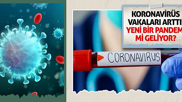 Koronavirüs vakaları arttı! Yeni bir pandemi mi geliyor?