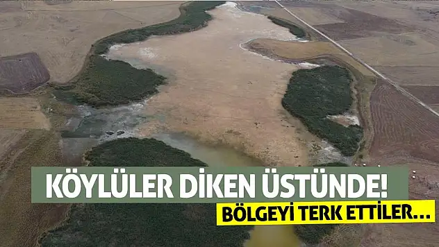 Köylüler diken üstünde! Bölgeyi terk ettiler…