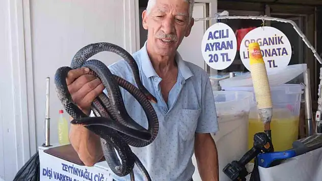 Koynunda beslediği yılanlar böyle ısırdı