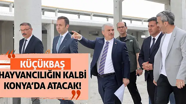 Küçükbaş Hayvancılığın Kalbi Konya'da Atacak!