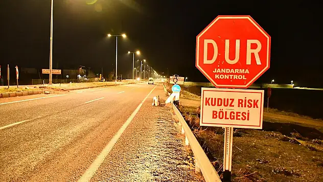 Kuduz alarmı: Belde 6 ay karantinaya alındı!