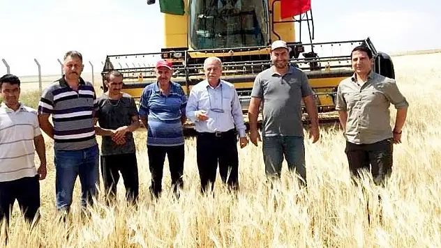 Kulu'da tarım alanlarında hasat başladı