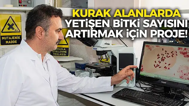 Kurak alanlarda yetişen bitki sayısını artırmak için proje