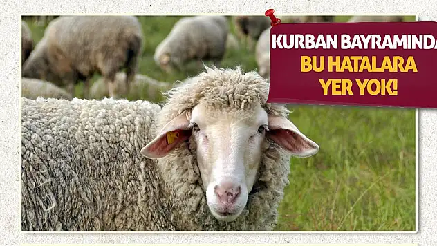 Kurban Bayramında bu hatalara yer yok!