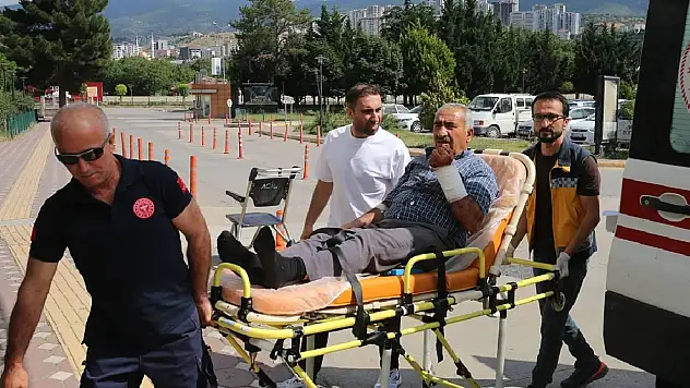 Kurban kesimi sırasında 13 bin 513 kişi hastanelik oldu