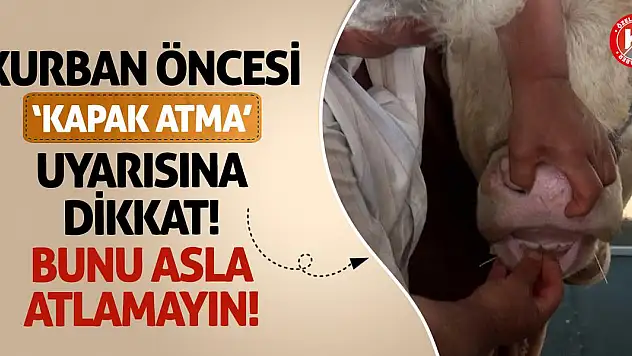 Kurban Öncesi 'Kapak Atma' Uyarısına Dikkat! Bunu Asla Atlamayın!
